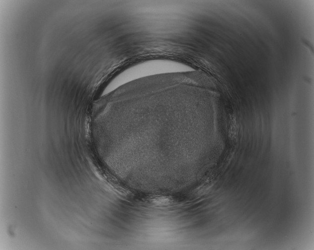 X0000100390456200806271401