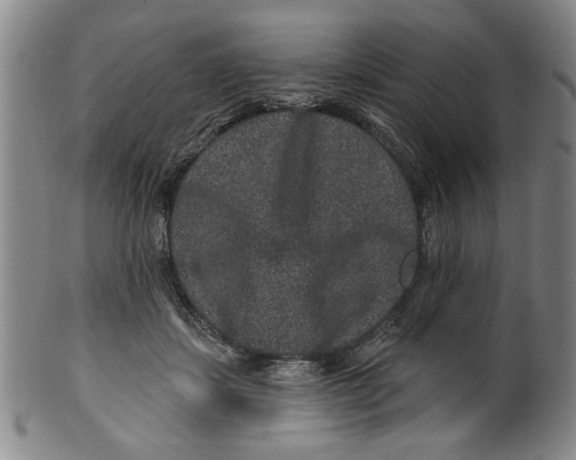 X0000100390459200806271401