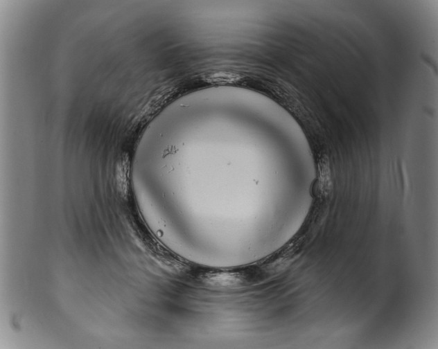 X0000100390460200806271401