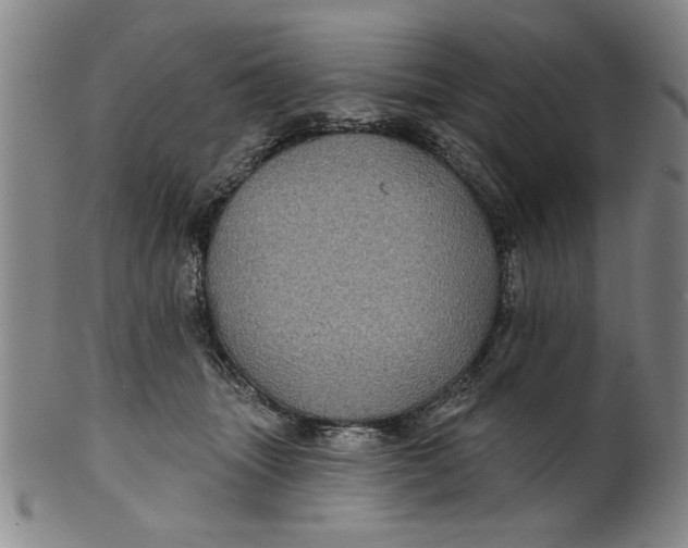 X0000100390463200806271401