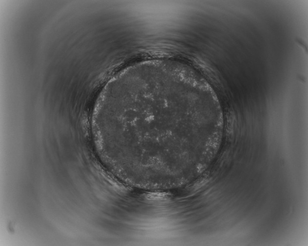 X0000100390465200806271401