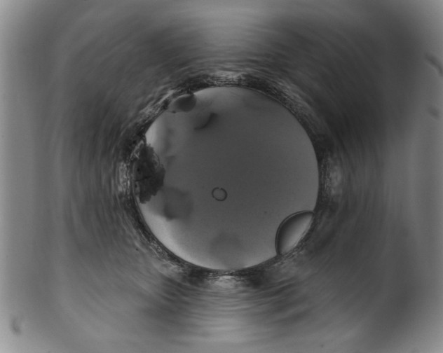 X0000100390467200806271401