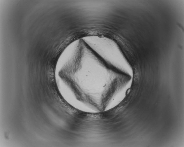 X0000100390469200806271401