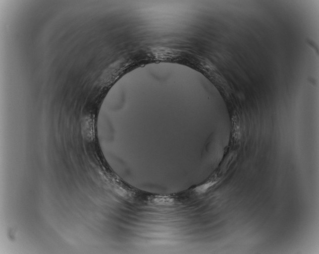 X0000100390471200806271401