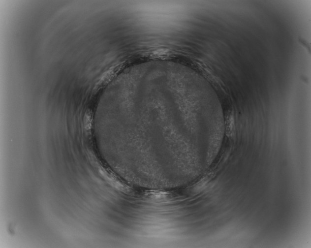 X0000100390472200806271401