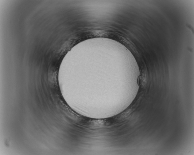 X0000100390473200806271401