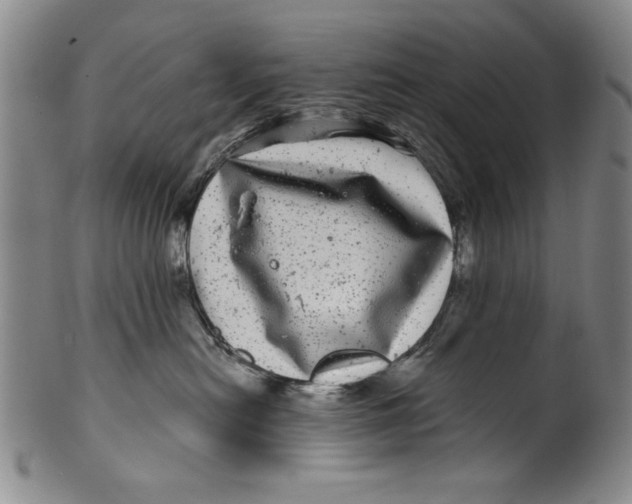 X0000100390478200806271401