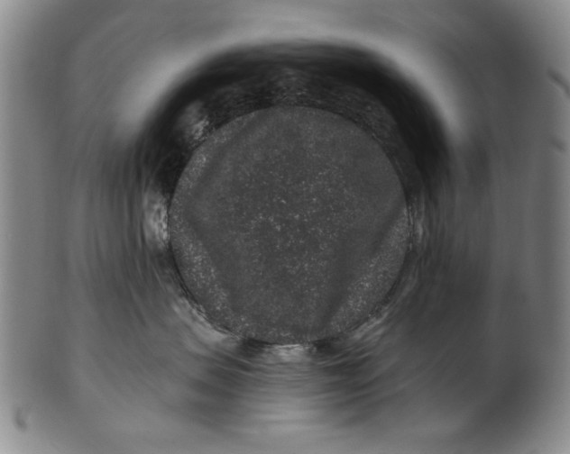 X0000100390479200806271401