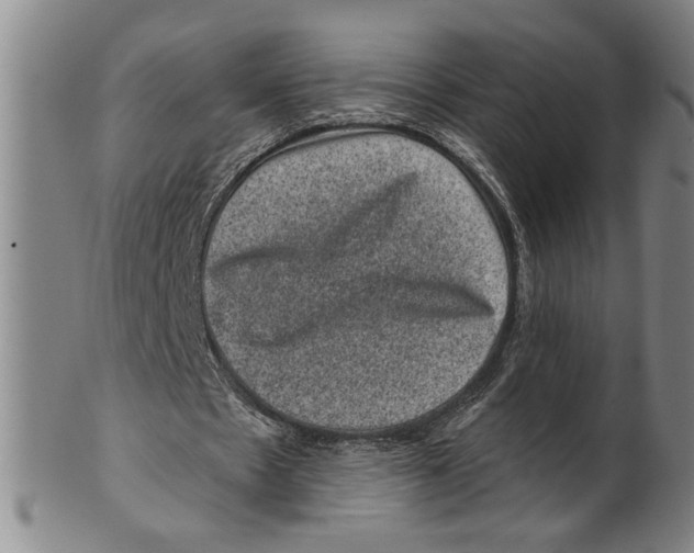 X0000100390481200806271400