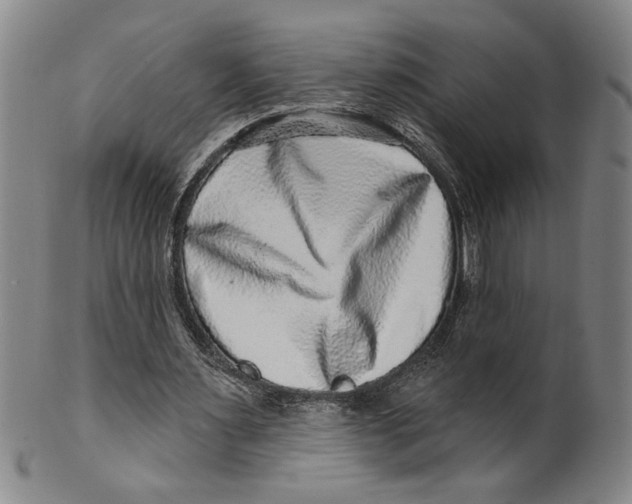 X0000100390483200806271400