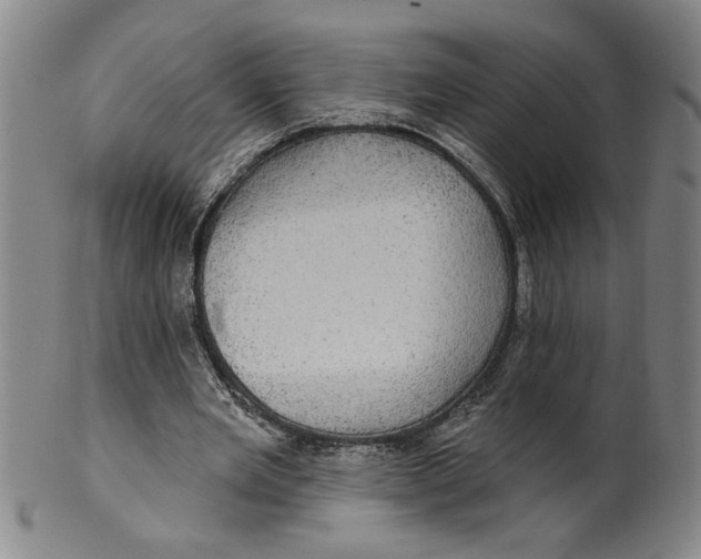 X0000100390485200806271400