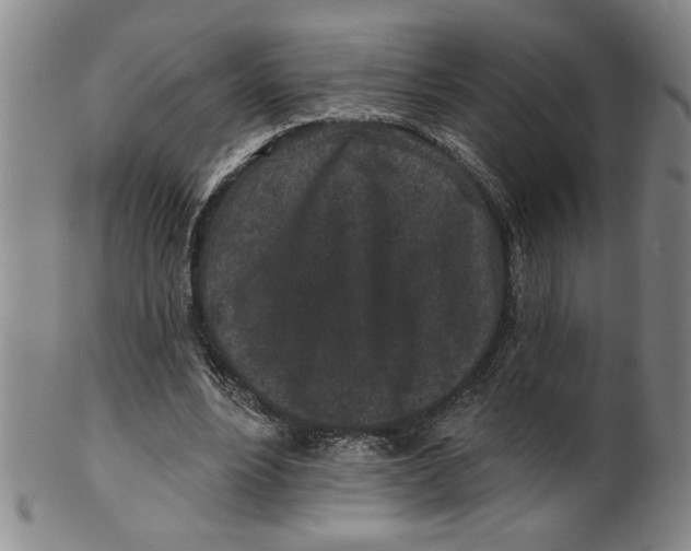 X0000100390488200806271400