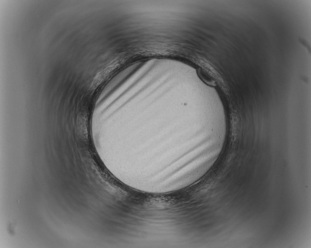 X0000100390489200806271400