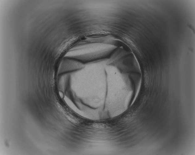 X0000100390490200806271400