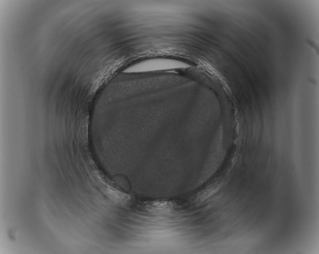 X0000100390493200806271400