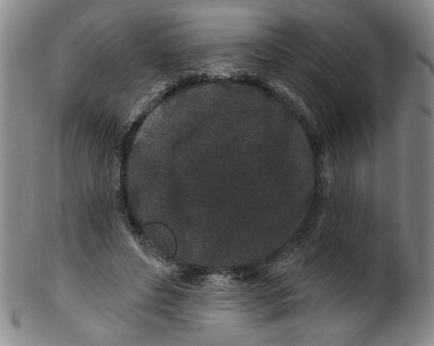 X0000100390496200806271400