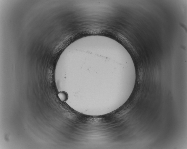 X0000100390497200806271400