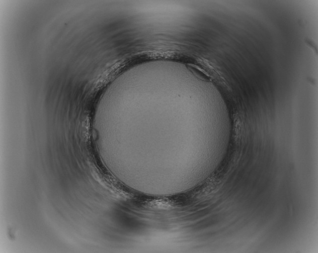 X0000100390498200806271400