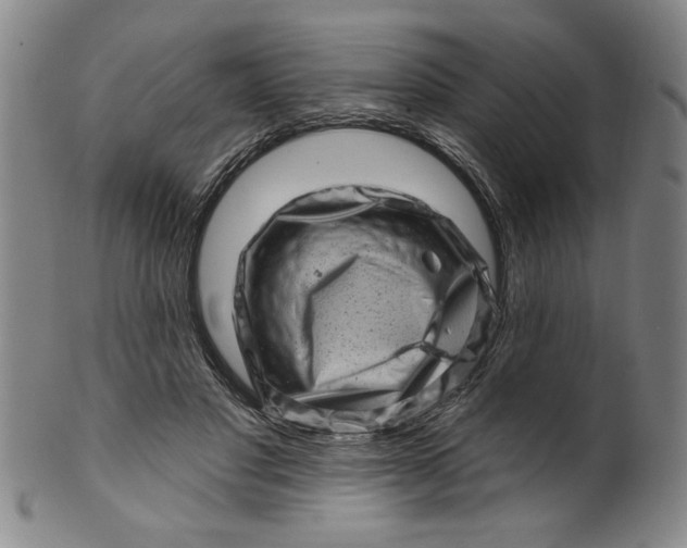 X0000100390501200806271400