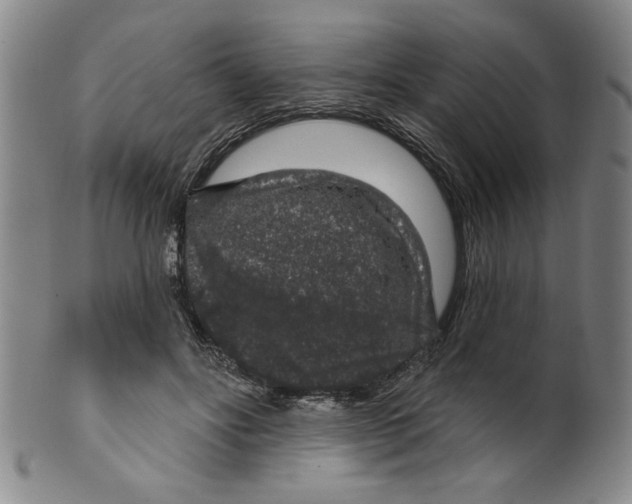 X0000100390502200806271400