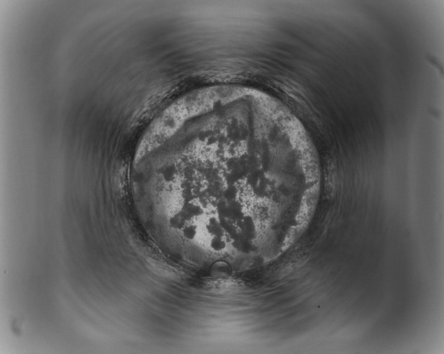 X0000100390503200806271400