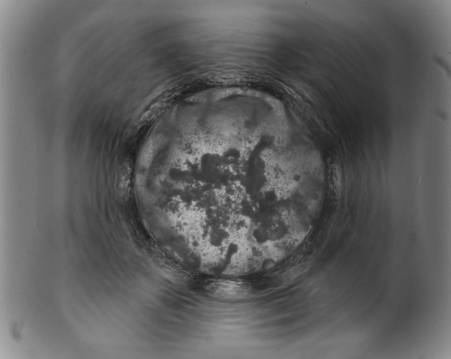 X0000100390507200806271400