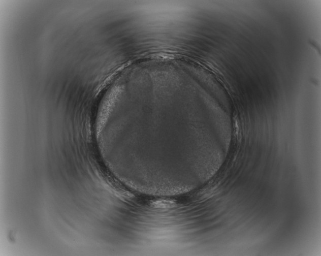 X0000100390508200806271400