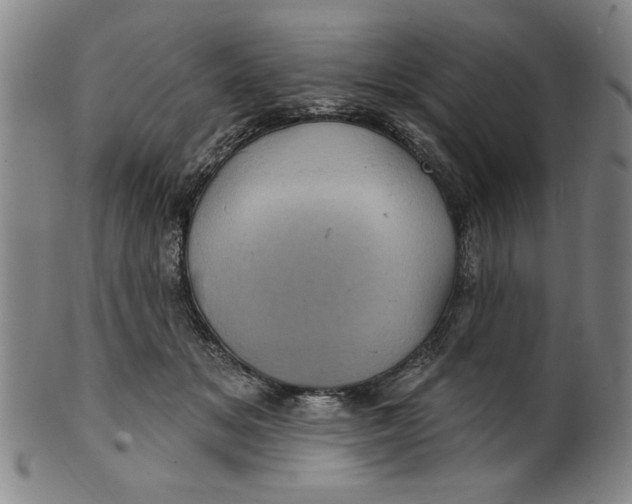 X0000100390509200806271400