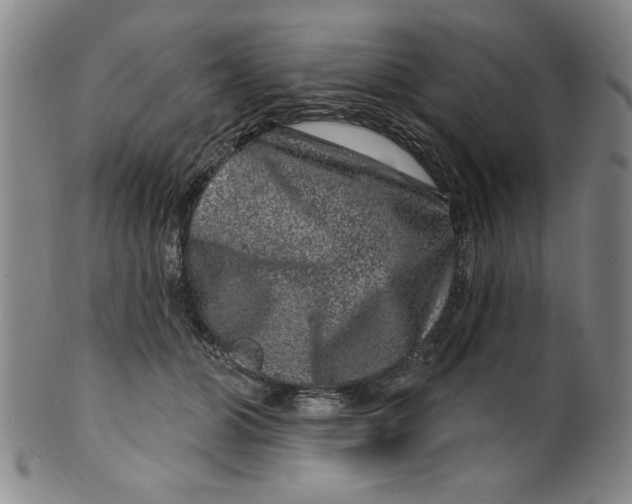 X0000100390510200806271400