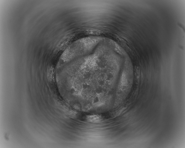 X0000100390511200806271400