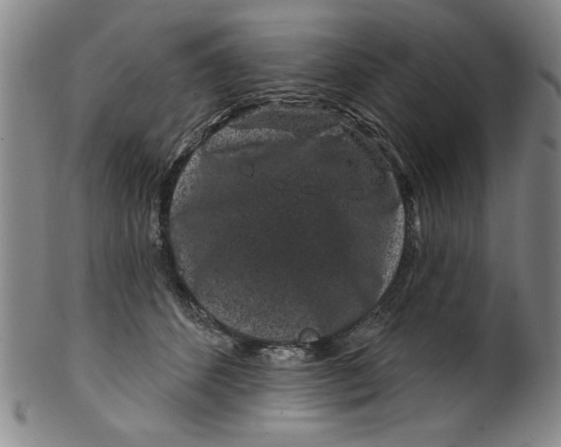 X0000100390512200806271400