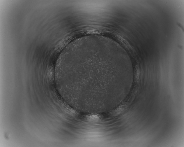 X0000100390513200806271400