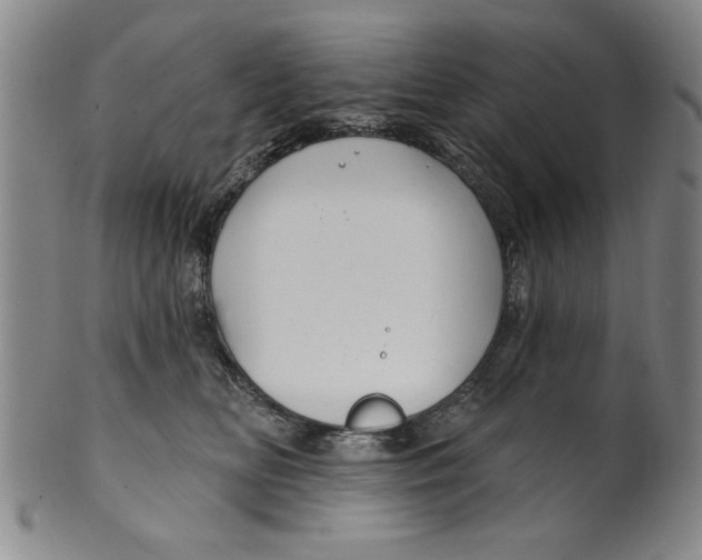 X0000100390518200806271400