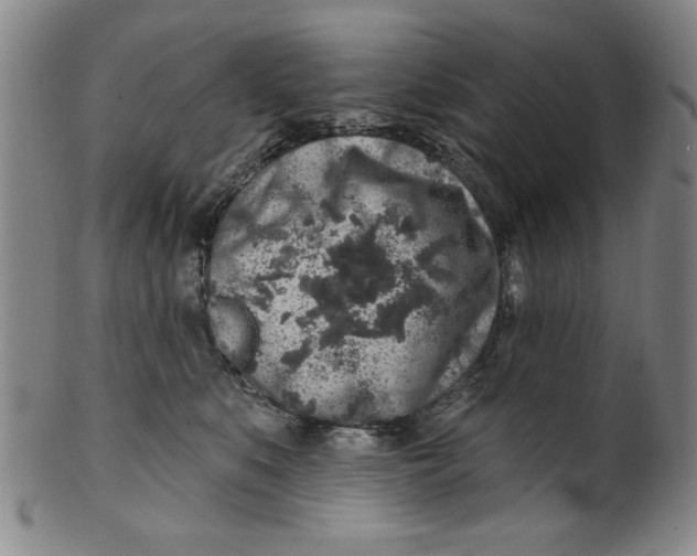 X0000100390519200806271400