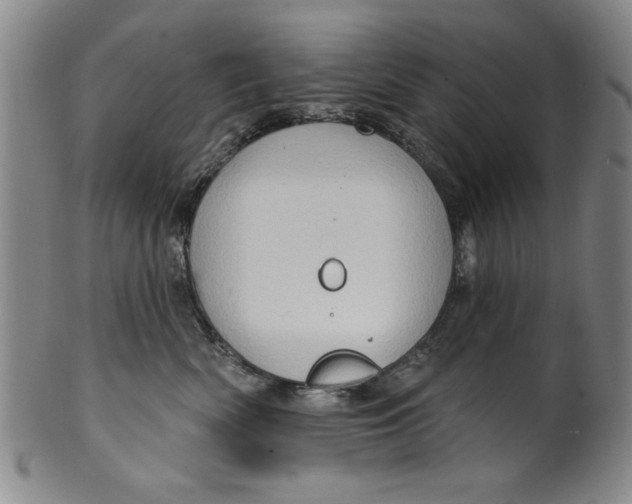 X0000100390522200806271400