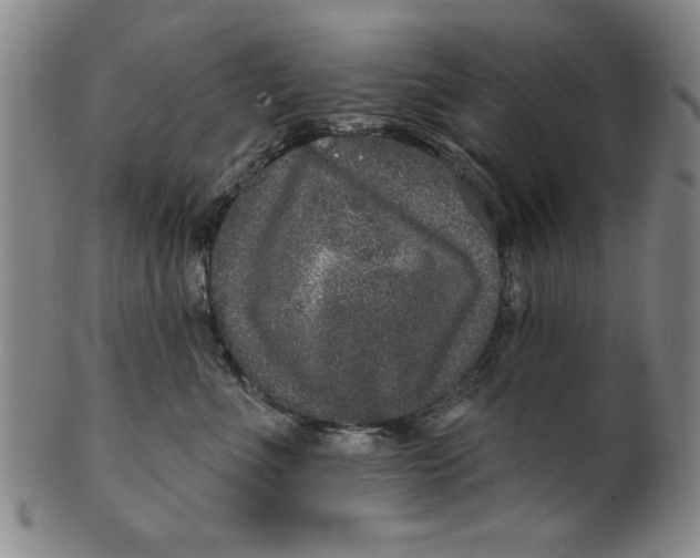 X0000100390523200806271400