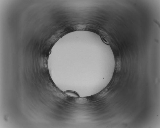 X0000100390525200806271400