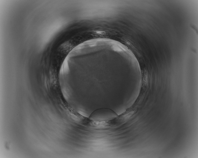 X0000100390526200806271400