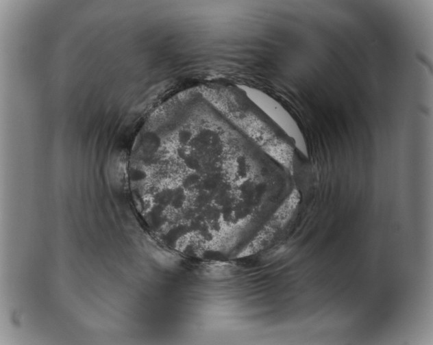 X0000100390527200806271400