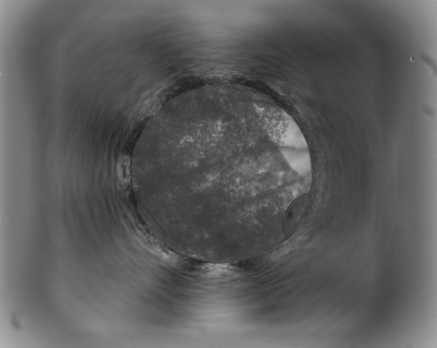 X0000100390528200806271400