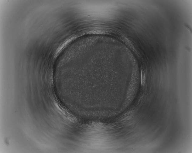 X0000100390531200806271359