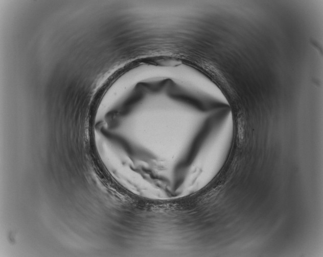 X0000100390532200806271359