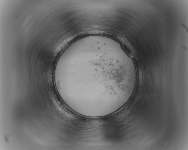 X0000100390533200806271359