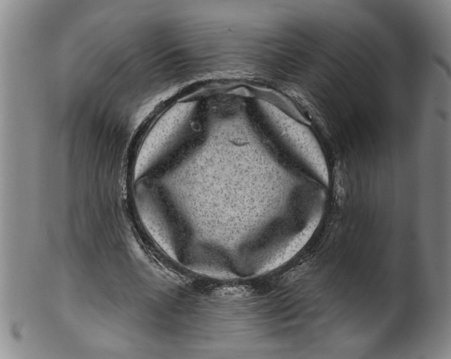 X0000100390536200806271359