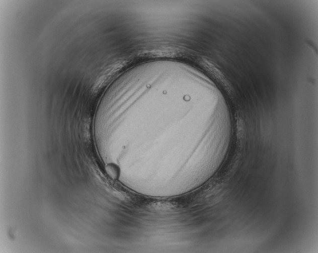 X0000100390537200806271359