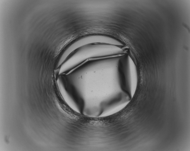 X0000100390538200806271359