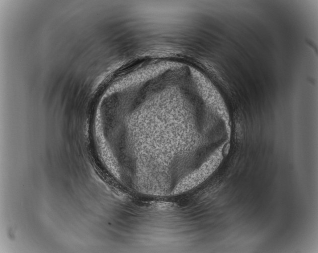 X0000100390539200806271359