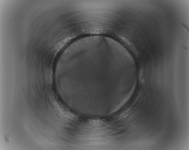 X0000100390540200806271359