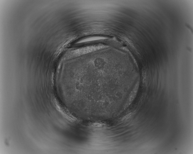 X0000100390542200806271359