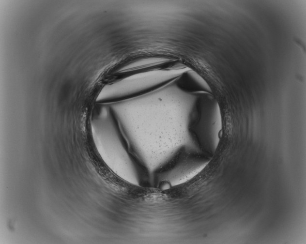 X0000100390543200806271359